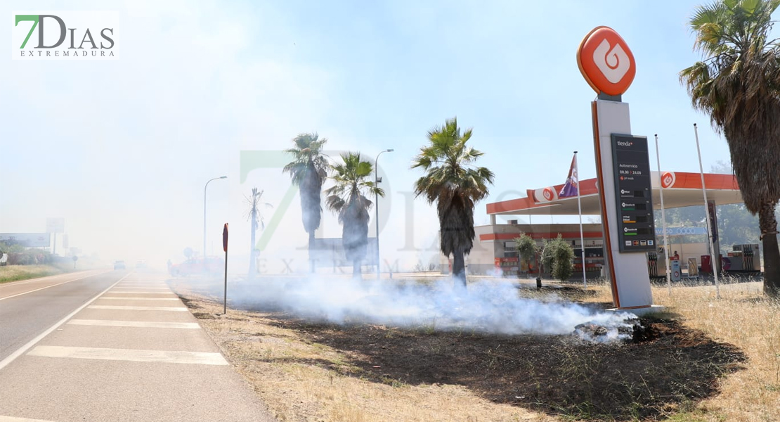 Grave incendio forestal a la salida de Badajoz por la N-432