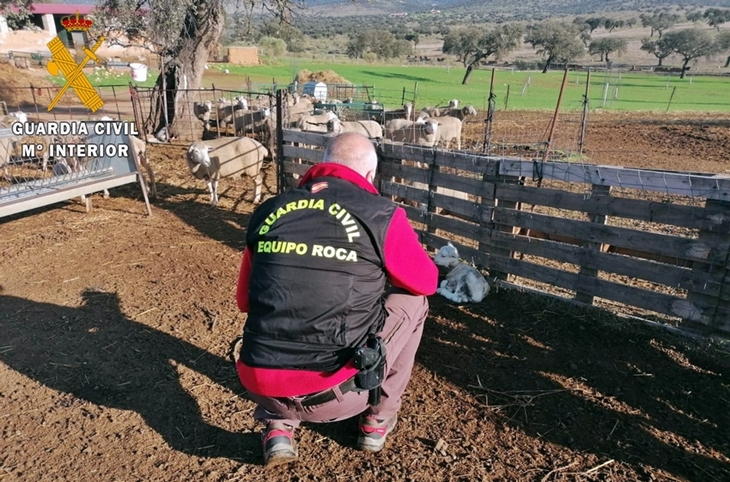 Los robos en explotaciones agrarias y ganaderas siguen siendo un problema en Extremadura