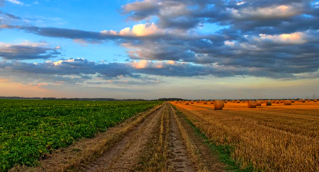 Las propuestas "retrógadas" complican la firma del convenio del campo, según CCOO
