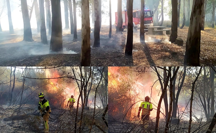 Incendio forestal cercano a Montijo el pasado fin de semana