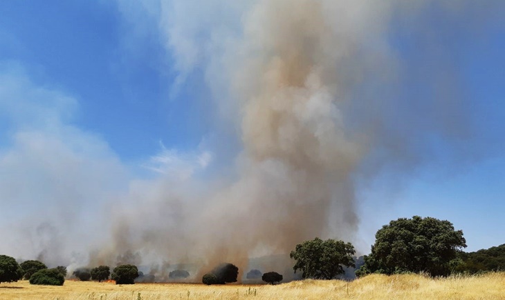 El INFOEX interviene en cerca de 40 incendios forestales esta semana