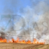 REPOR - Imágenes del incendio declarado nivel 1 de peligrosidad a la salida Badajoz