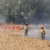 REPOR - Imágenes del incendio declarado nivel 1 de peligrosidad a la salida Badajoz