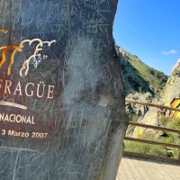 Denuncian a la Dirección del Parque de Monfragüe por la &quot;matanza&quot; de ciervos y jabalíes