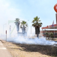 Grave incendio forestal a la salida de Badajoz por la N-432