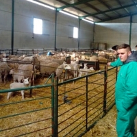Ofertan ciclos de FP en ganadería y sector agropecuario en Extremadura