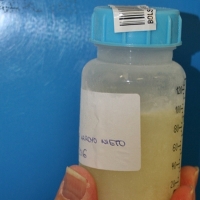 La leche materna de infectadas o vacunadas contra el covid contiene anticuerpos