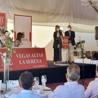 Ayudas disponibles para el empresariado de Extremadura