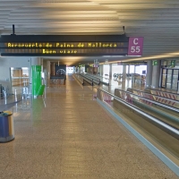 Varios estudiantes confinados en Mallorca se dan a la fuga