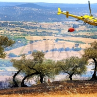 Amplio dispositivo para controlar un incendio forestal cerca de Jerez de los Caballeros (BA)