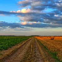 Las propuestas "retrógadas" complican la firma del convenio del campo, según CCOO