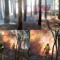 Incendio forestal cercano a Montijo el pasado fin de semana