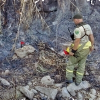 Manifestación de los Agentes del Medio Natural para pedir la dimisión de la consejera