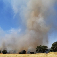 El INFOEX interviene en cerca de 40 incendios forestales esta semana