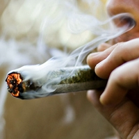 Cs llevará a la Asamblea de Extremadura la legalización del cannabis para ciertos usos