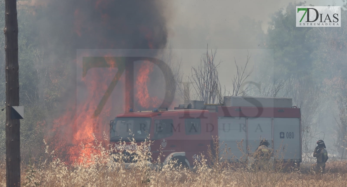 REPOR - Imágenes del incendio declarado nivel 1 de peligrosidad a la salida Badajoz