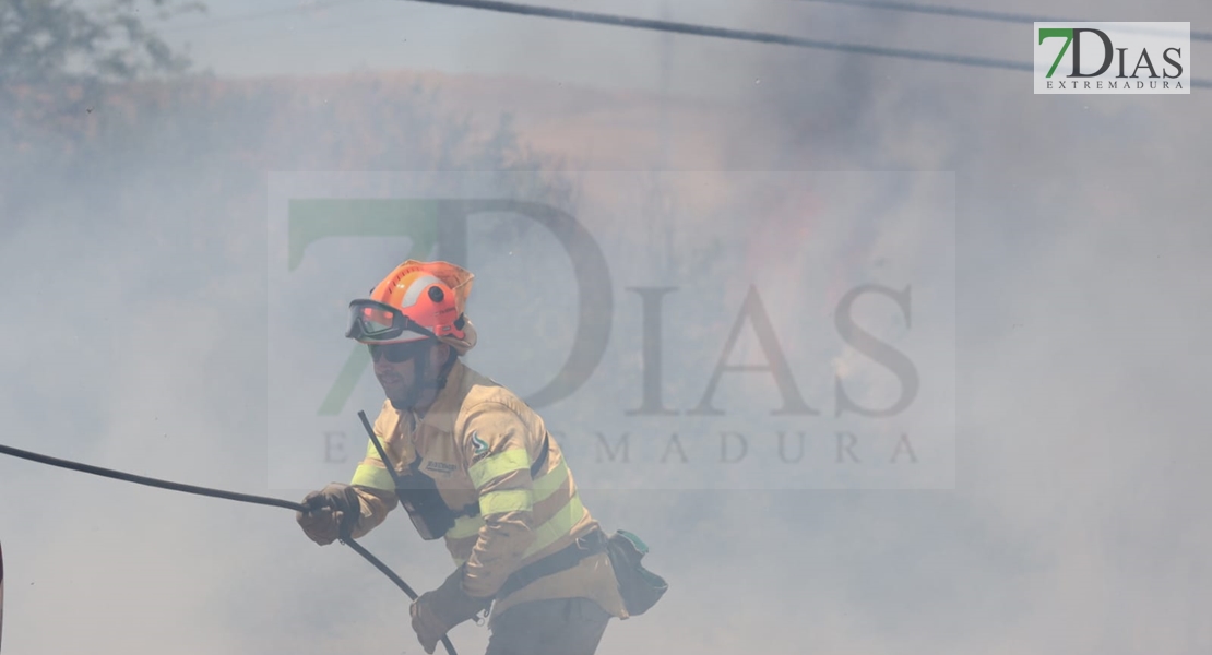 REPOR - Imágenes del incendio declarado nivel 1 de peligrosidad a la salida Badajoz