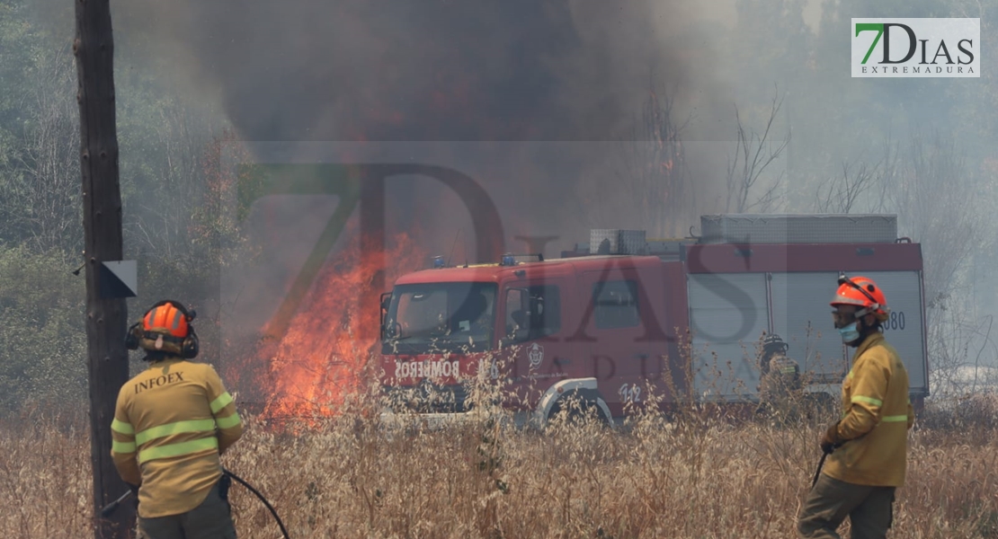 REPOR - Imágenes del incendio declarado nivel 1 de peligrosidad a la salida Badajoz