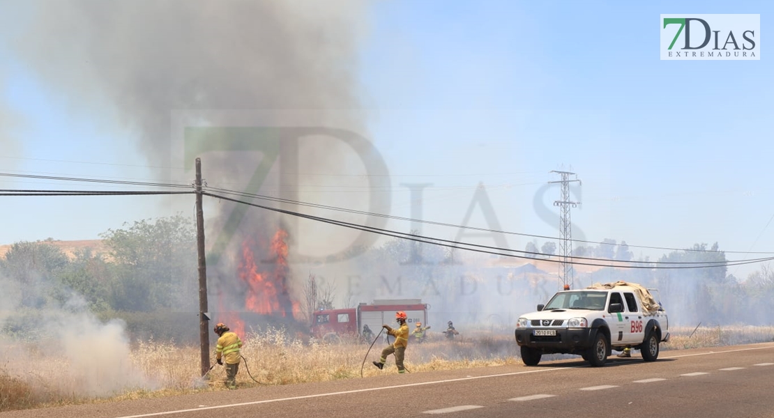 REPOR - Imágenes del incendio declarado nivel 1 de peligrosidad a la salida Badajoz