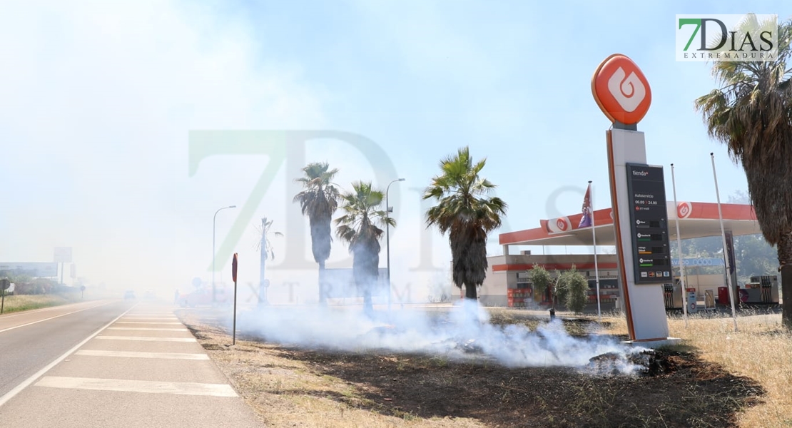 REPOR - Imágenes del incendio declarado nivel 1 de peligrosidad a la salida Badajoz