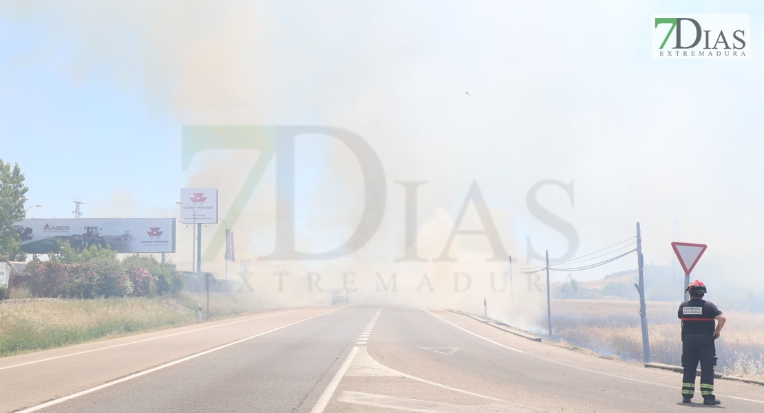 REPOR - Imágenes del incendio declarado nivel 1 de peligrosidad a la salida Badajoz