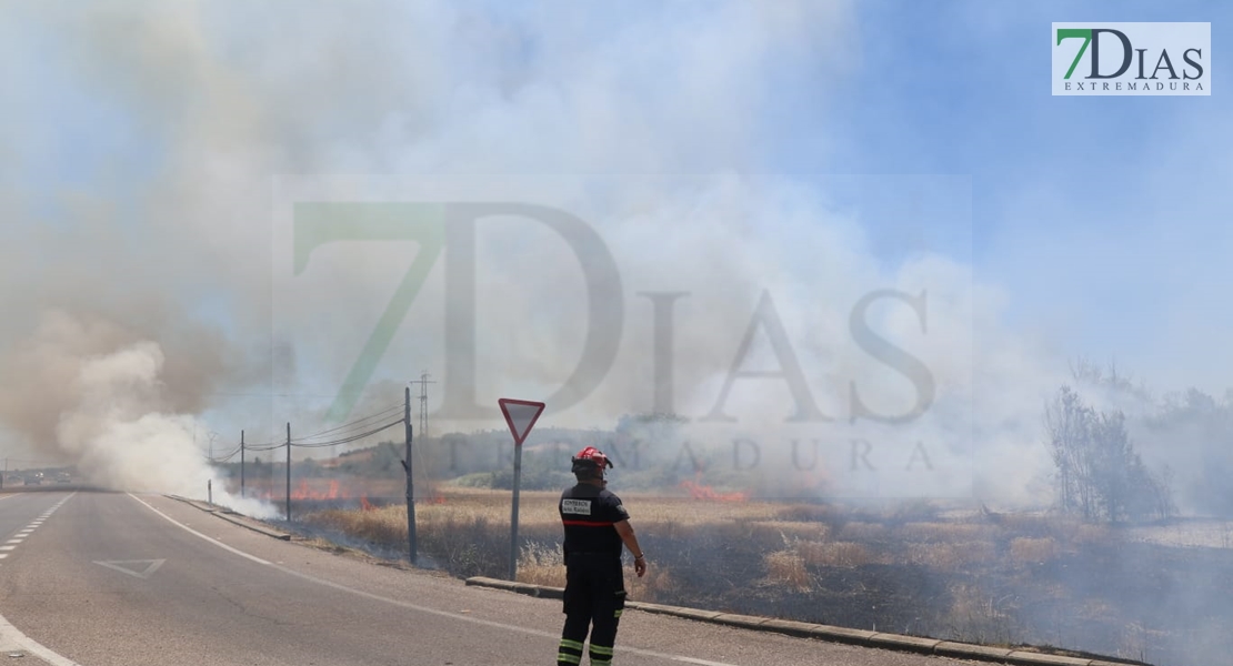 REPOR - Imágenes del incendio declarado nivel 1 de peligrosidad a la salida Badajoz