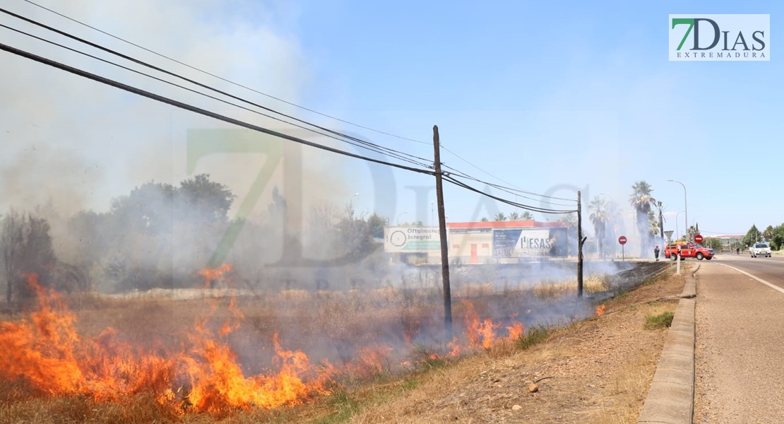 REPOR - Imágenes del incendio declarado nivel 1 de peligrosidad a la salida Badajoz