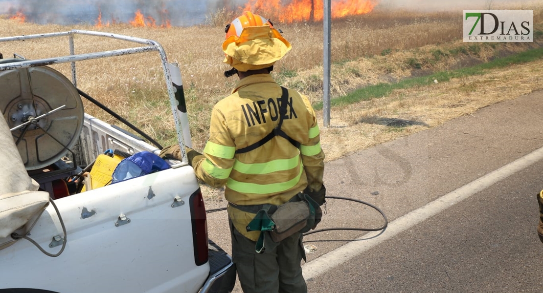 REPOR - Imágenes del incendio declarado nivel 1 de peligrosidad a la salida Badajoz