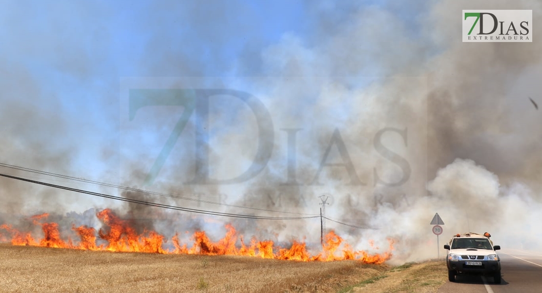 REPOR - Imágenes del incendio declarado nivel 1 de peligrosidad a la salida Badajoz