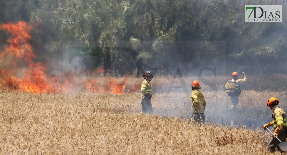 REPOR - Imágenes del incendio declarado nivel 1 de peligrosidad a la salida Badajoz