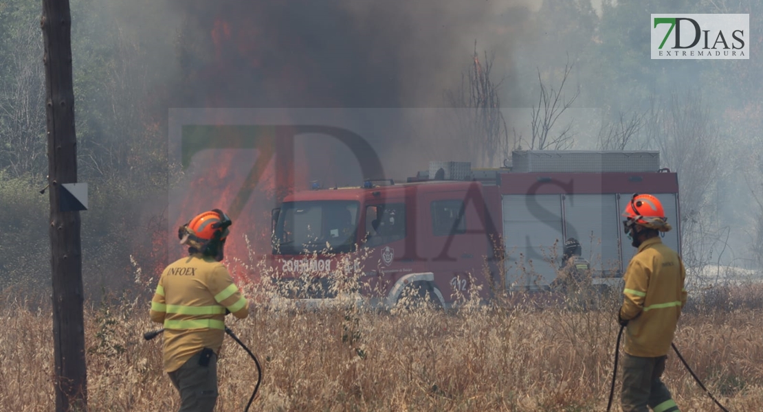 REPOR - Imágenes del incendio declarado nivel 1 de peligrosidad a la salida Badajoz