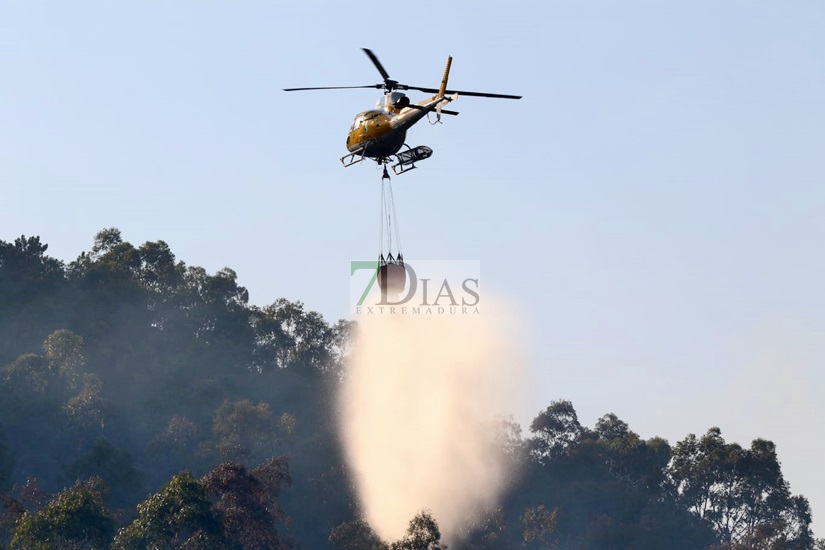 Estabilizado un incendio forestal declarado en la localidad cacereña de Casas de Millán