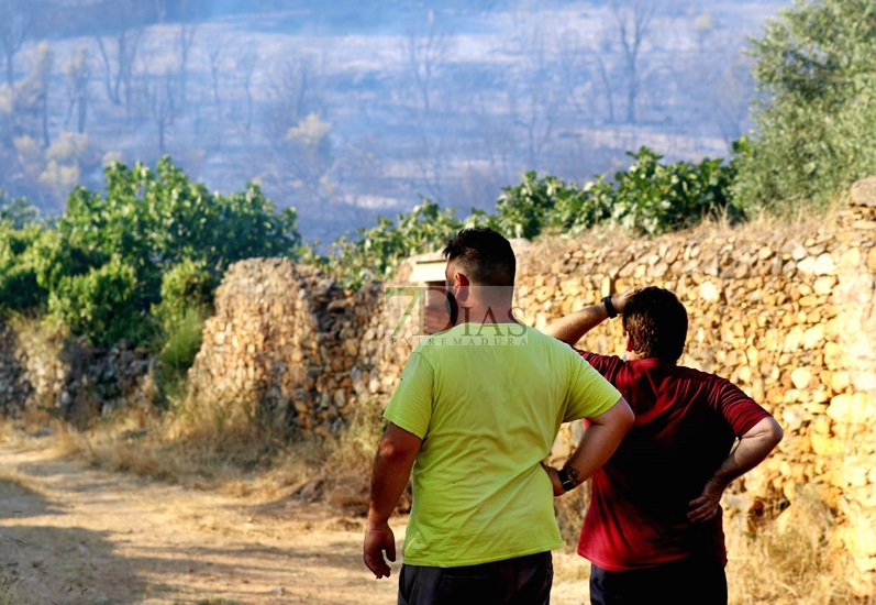 Estabilizado un incendio forestal declarado en la localidad cacereña de Casas de Millán