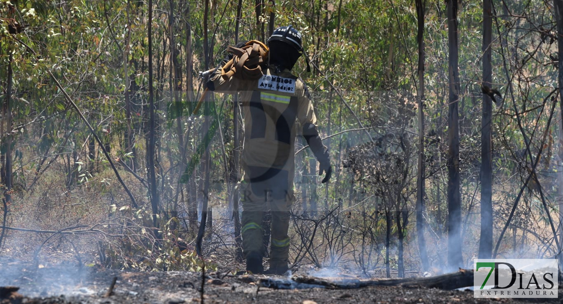 Amplio dispositivo para extinguir un incendio forestal cercano a Badajoz