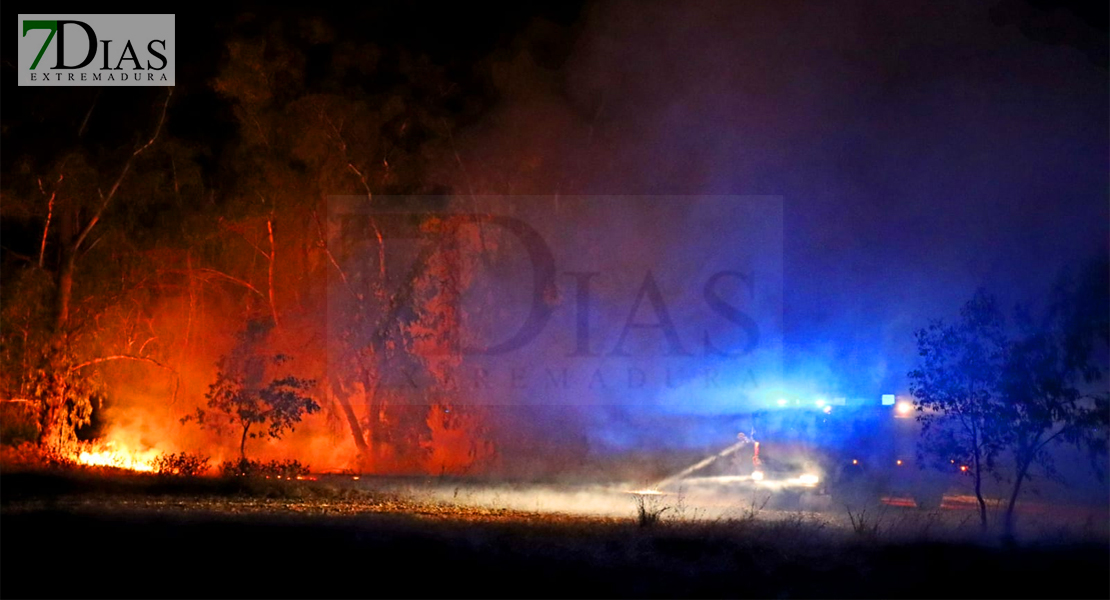 Incendio forestal en el badén de Talavera La Real durante la madrugada