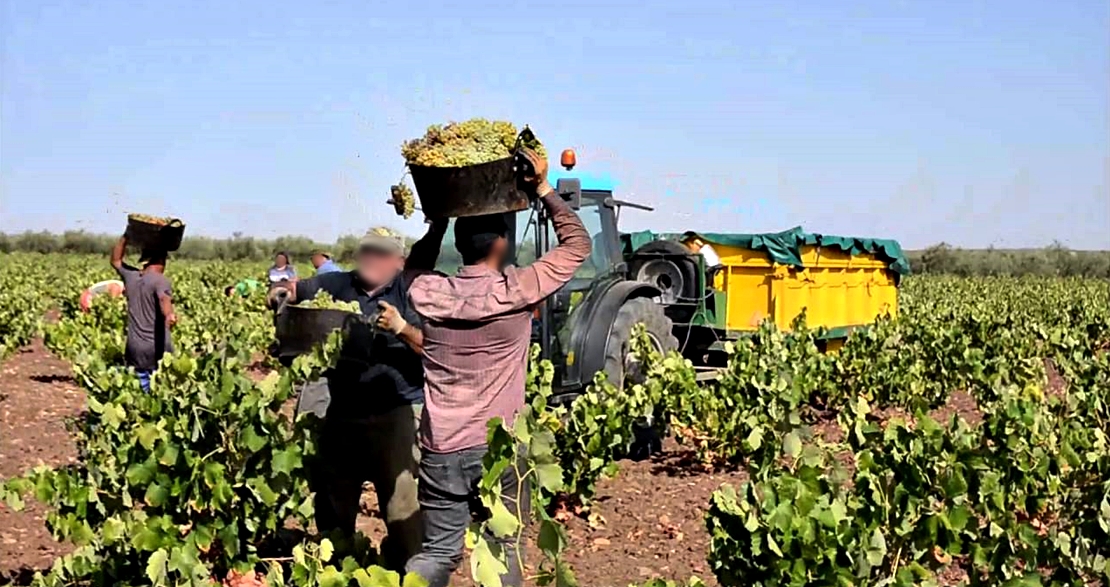 ‘Extremadura Digna’ denuncia la precariedad laboral en los campos extremeños