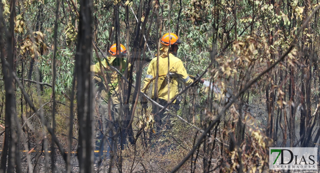 Amplio dispositivo para extinguir un incendio forestal cercano a Badajoz