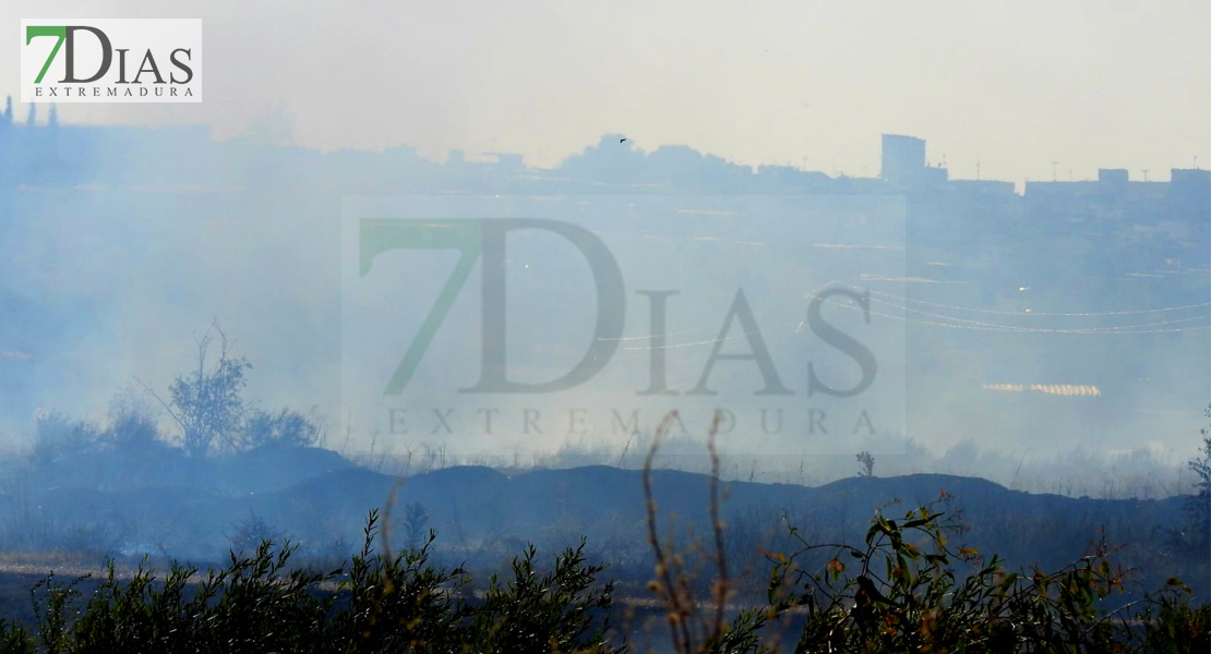 Bomberos de Badajoz intentan controlar un incendio declarado en la zona de &#39;Las Crispitas&#39;