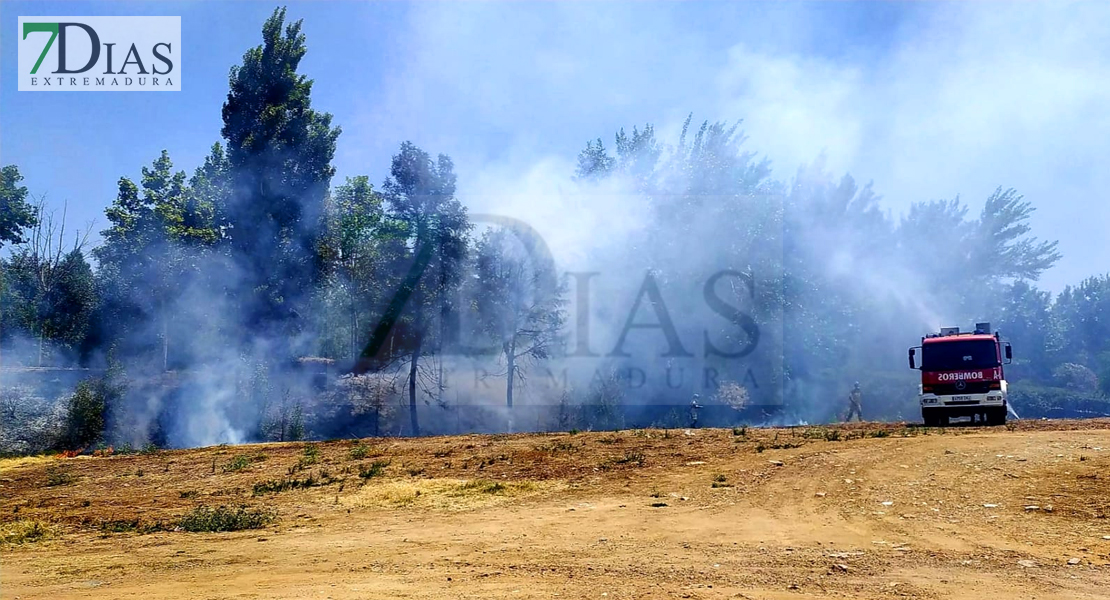 Incendio cerca del Colegio Pastor Sito en pleno casco urbano de Badajoz