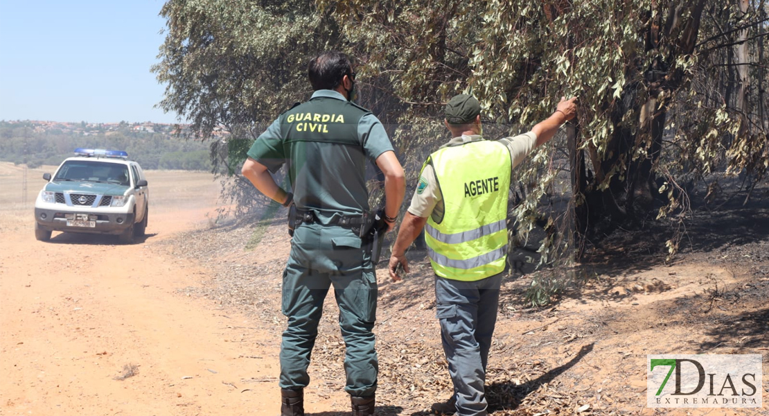 Amplio dispositivo para extinguir un incendio forestal cercano a Badajoz