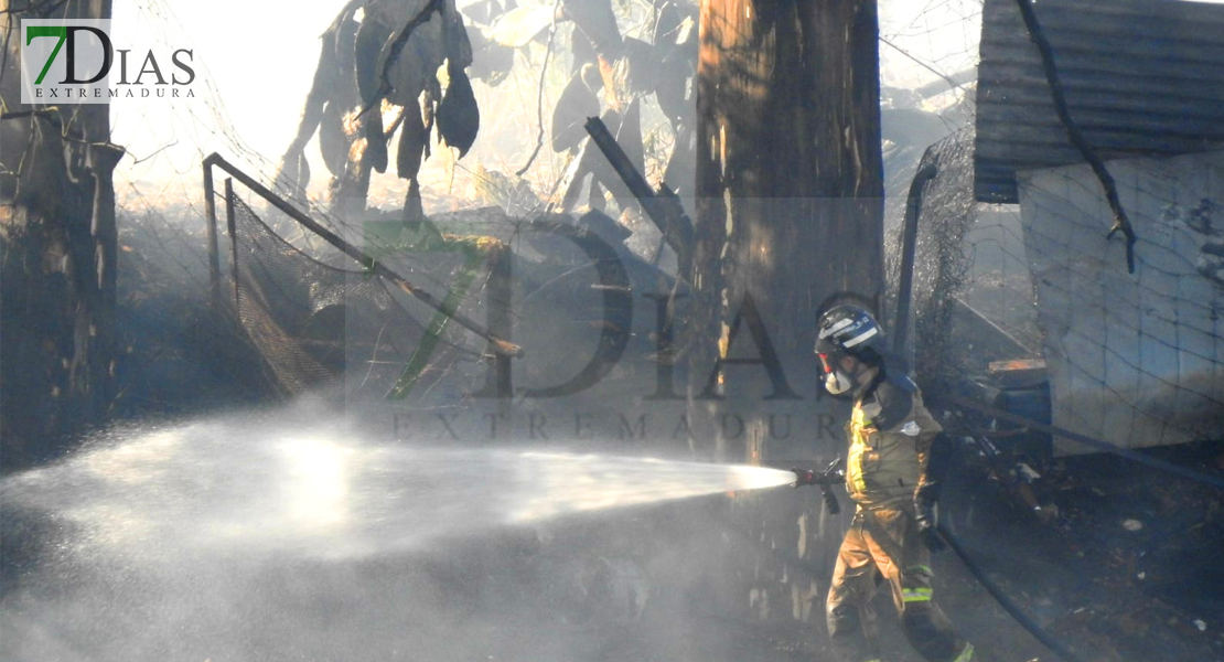 Bomberos de Badajoz intentan controlar un incendio declarado en la zona de &#39;Las Crispitas&#39;