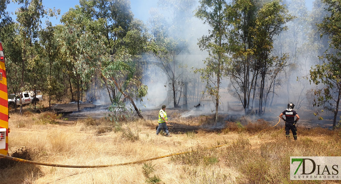 Amplio dispositivo para extinguir un incendio forestal cercano a Badajoz