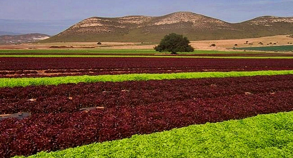 Críticas al plan de regadío de Tierra de Barros: &quot;No es sostenible&quot;