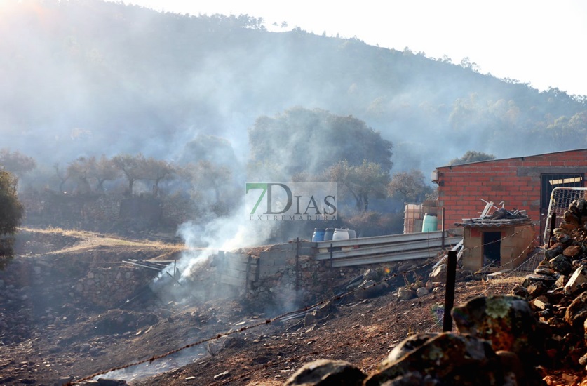 Estabilizado un incendio forestal declarado en la localidad cacereña de Casas de Millán