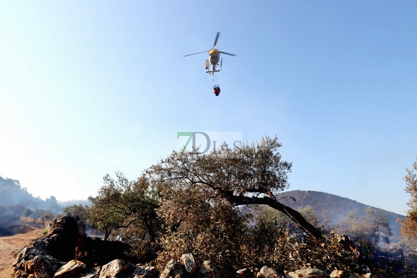 Estabilizado un incendio forestal declarado en la localidad cacereña de Casas de Millán