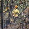 Amplio dispositivo para extinguir un incendio forestal cercano a Badajoz