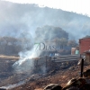 Estabilizado un incendio forestal declarado en la localidad cacereña de Casas de Millán