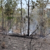 Amplio dispositivo para extinguir un incendio forestal cercano a Badajoz