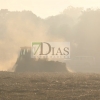 Un gran incendio deja 700 hectáreas quemadas en Madroñera (Cáceres)