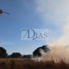 Un gran incendio deja 700 hectáreas quemadas en Madroñera (Cáceres)